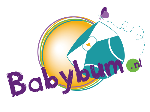 Pay in3 terms at babybum.nl
