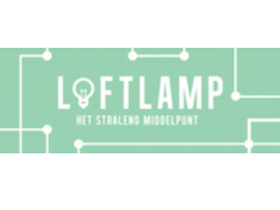 Pay in3 terms at Loftlamp.nl